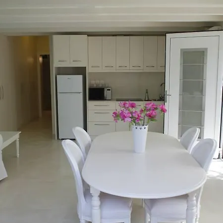 Chiqui Luxury Διαμέρισμα Αλόννησος