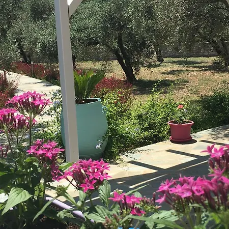 Chiqui Luxury Αλόννησος