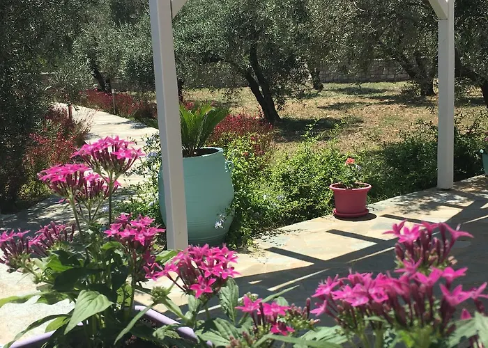 Chiqui Luxury Alónnisos